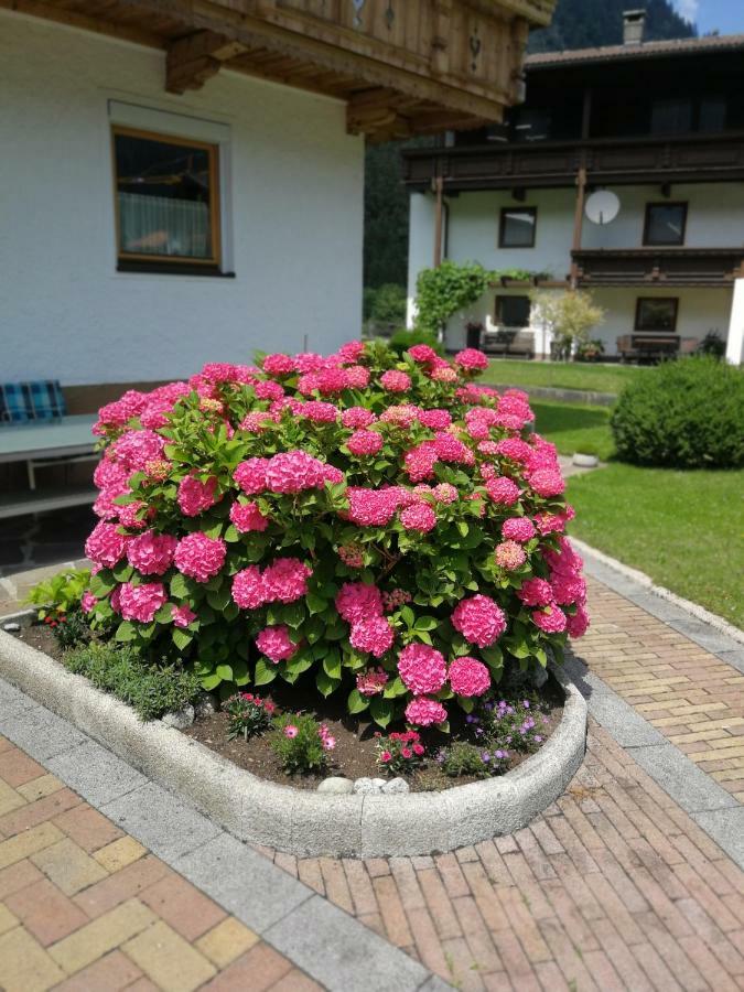 Haus Wildauer Ξενοδοχείο Mayrhofen Εξωτερικό φωτογραφία